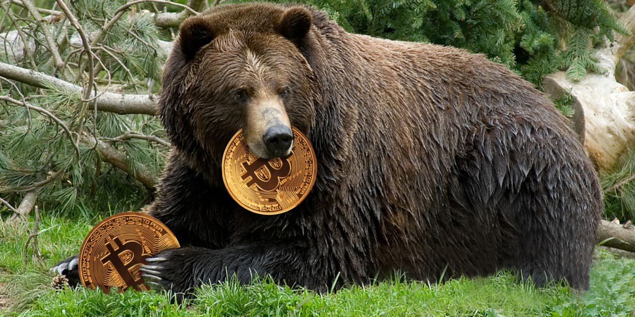 Bitcoin bears are watching cryptocurrency prices – here’s how low they could go