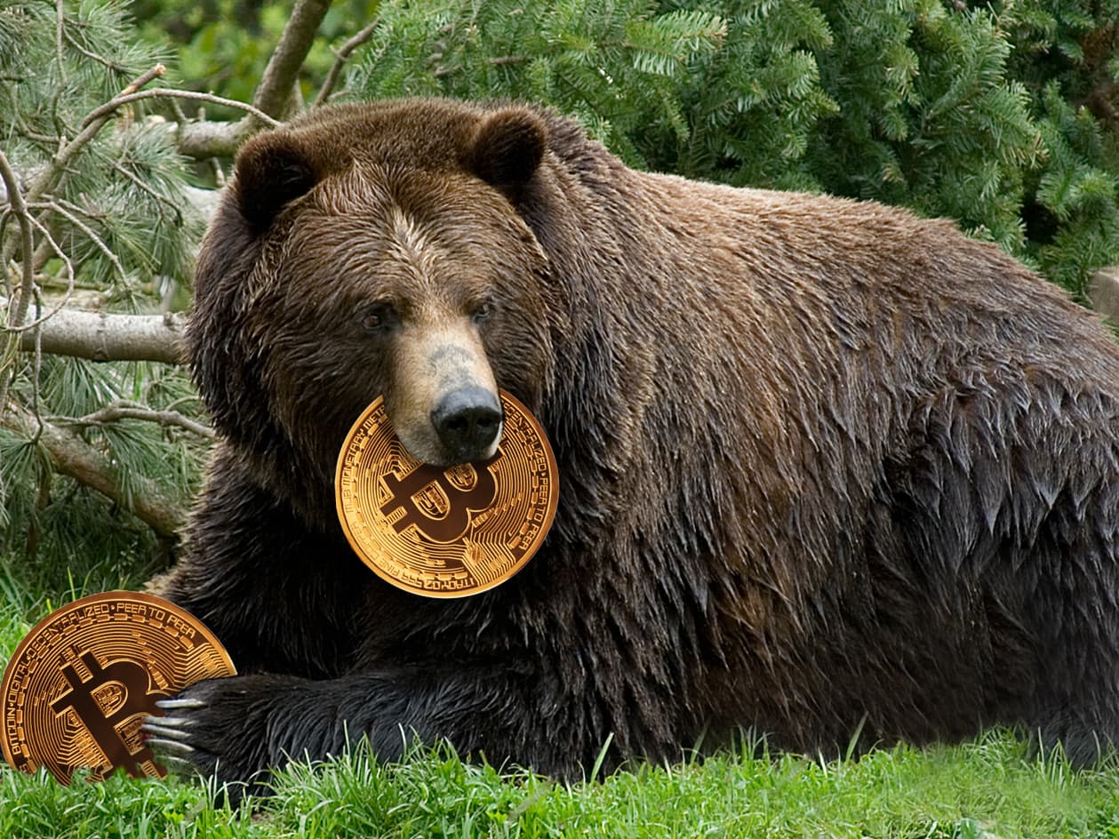 bitcoin bear markets bitcoin rinkos dalis cryptocurryber