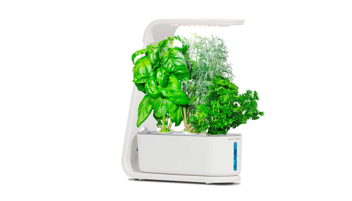 3 indoor garden kits under 100 MarketWatch