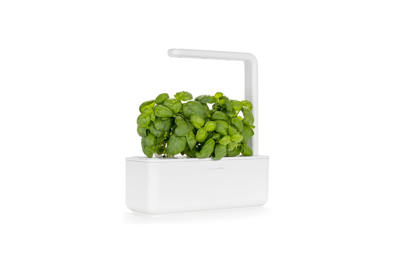 3 indoor garden kits under 100 MarketWatch