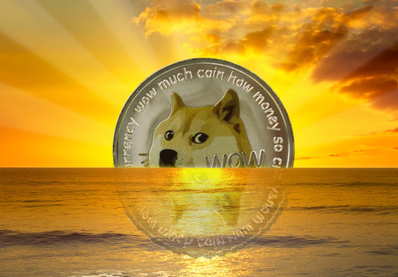 El perro japonés que inspiró la criptomoneda DogeCoin muere a los 18 años