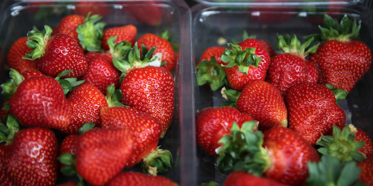 #The Wall Street Journal: FDA investigates organic strawberries tied to possible hepatitis A outbreak