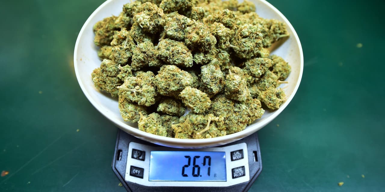#Cannabis Watch: Investors in cannabis companies burned by stock-market losses in 2021 even as the pot business grows