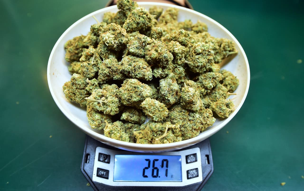 cannabis-company-executives-saw-double-digit-salary-gains-in-first-quarter-amid-shortage-of-experienced-workers-marketwatch