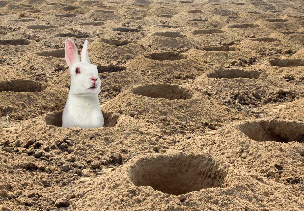 The CPI-vs.-PCE debate and other 'rabbit holes' to avoid when considering  inflation - MarketWatch, image size:1260x876