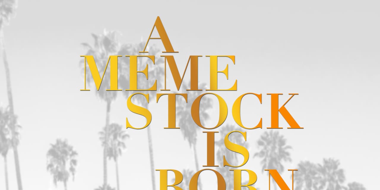 Looking for the next meme stock? These 10 have the three key ingredients to make the jump