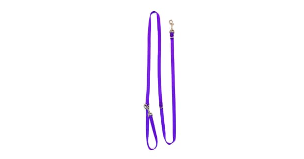 7 best possible canine leashes, in keeping with skilled canine walkers and trainers