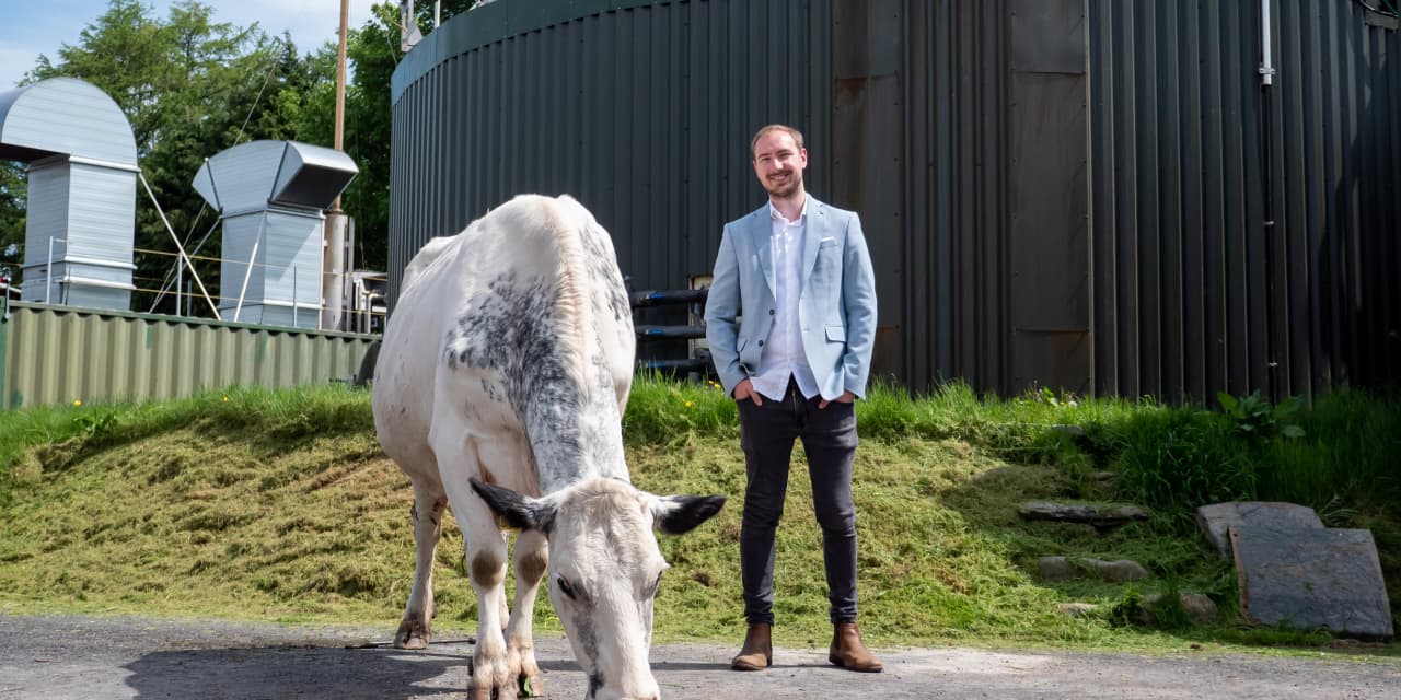 How farmers are using cow manure to power crypto mining operations