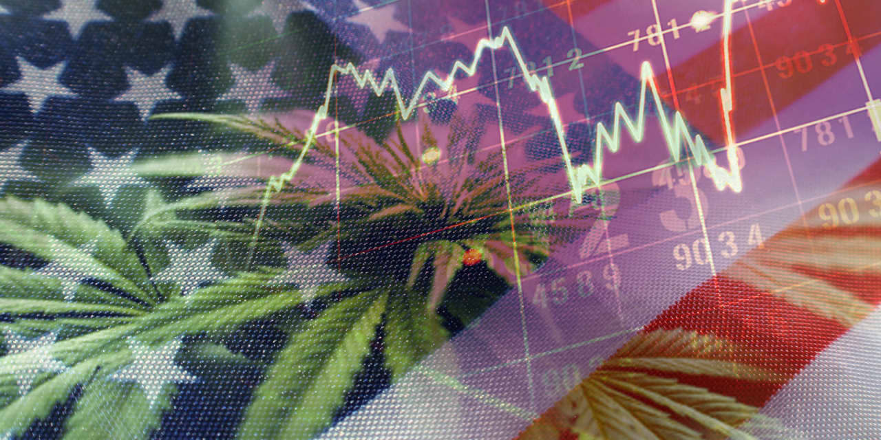 Want to invest in U.S. pot stocks? Here's what you need to know