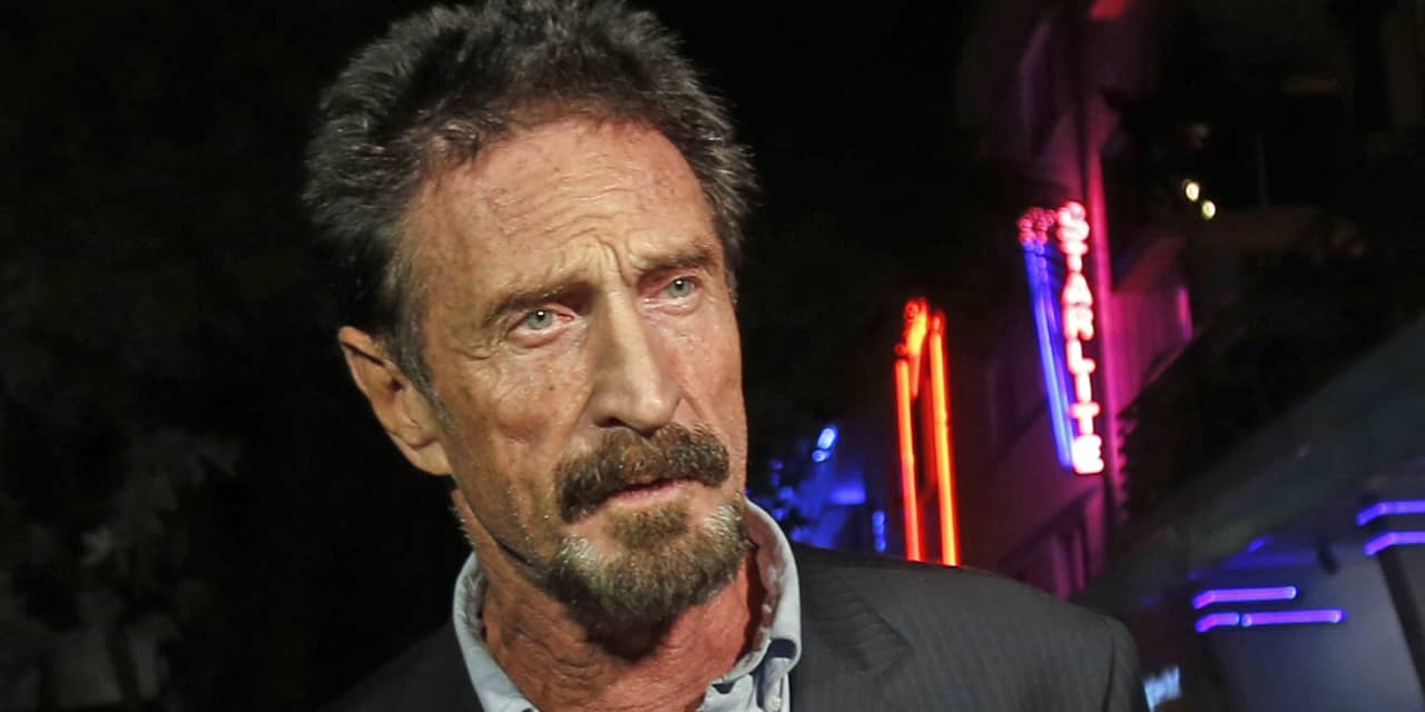 Opinion: John McAfee was one of the original genius-but-bizarre CEOs — and Elon Musk should take note
