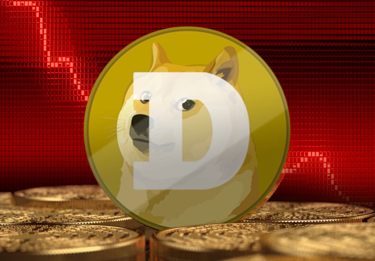 Elon Musk may be losing his sway with dogecoin investors—but Baby Doge Coin  is soaring - MarketWatch
