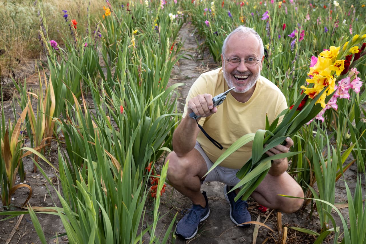 ‘The saddest thing ever’: I’m happily retired and my friends in their 60s want to know how I did it.  Should I tell them my secret?