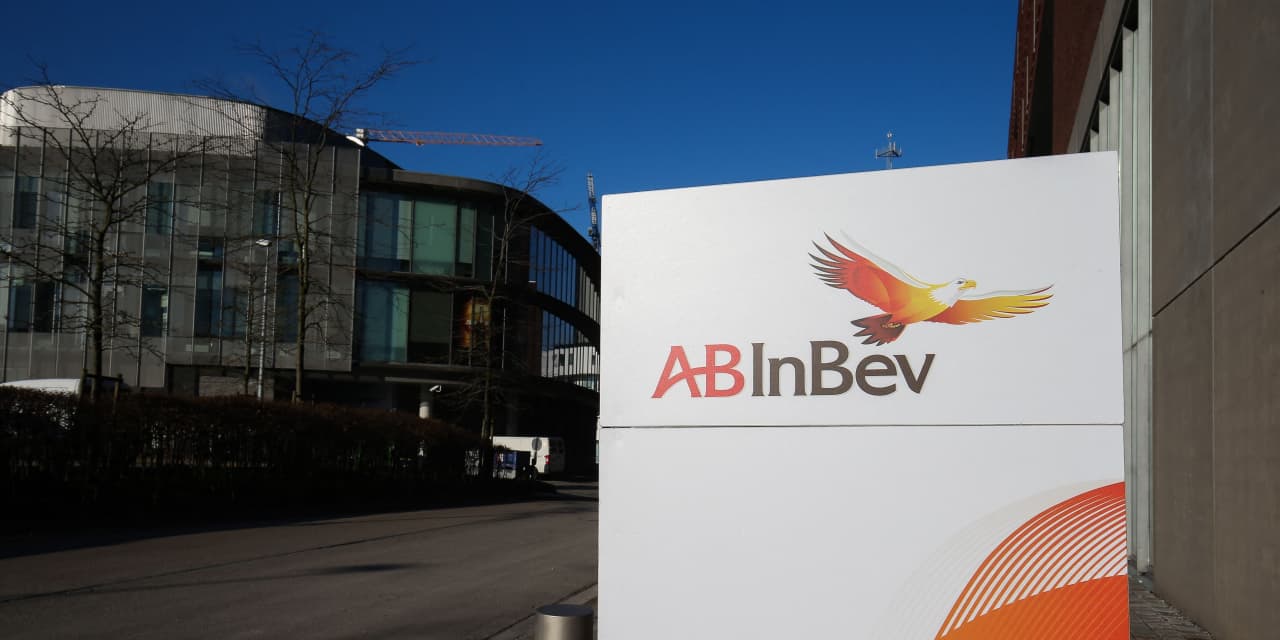 Ab inbev. Ab inbev логотип. Логотип компании ab inbev. Ab inbev efes лого. Anheuser-busch inbev лого.
