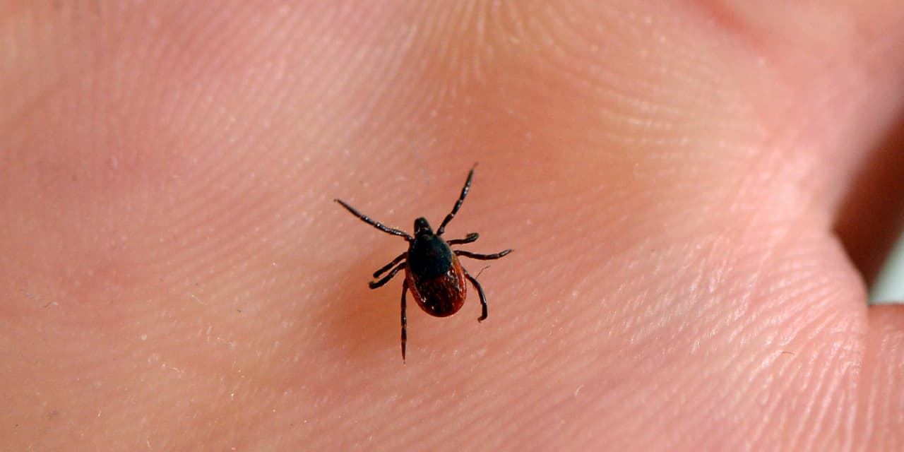 Moderna is developing a Lyme disease vaccine in a first for the company