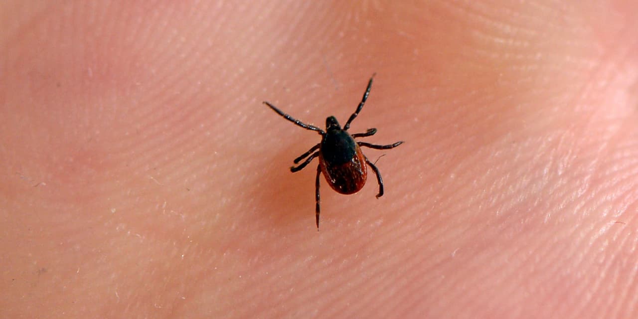 Moderna is developing a Lyme disease vaccine in a first for the company