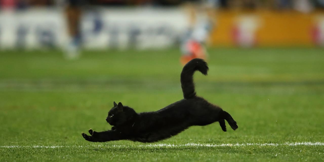 az-news-ai.blogspot.com - The S&P 500 is nearly 99% above its March 2020 low. These 3 big-tech charts will tell you if things are about to unravel - MarketWatch