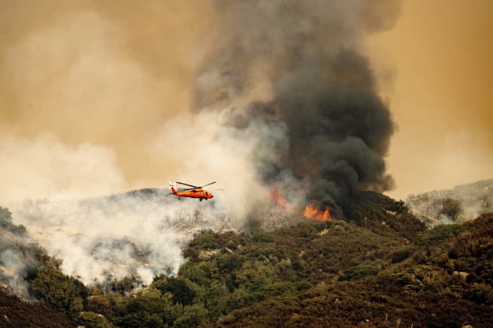 Giant sequoias wrapped with flame-resistant blankets as wildfires ...