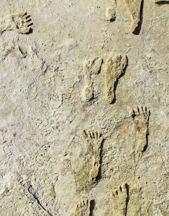 Ancient footprints found in New Mexico are the oldest proof of humans ...