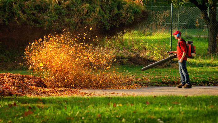 Home depot battery operated deals leaf blower