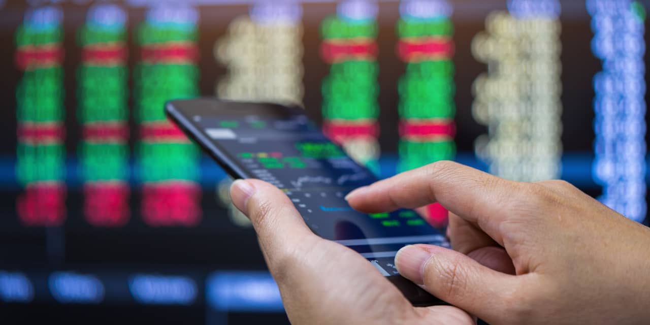 marketwatch.com - Gordon Gottsegen - Retail investors think tech stocks are overvalued. They're buying anyway - here's why.