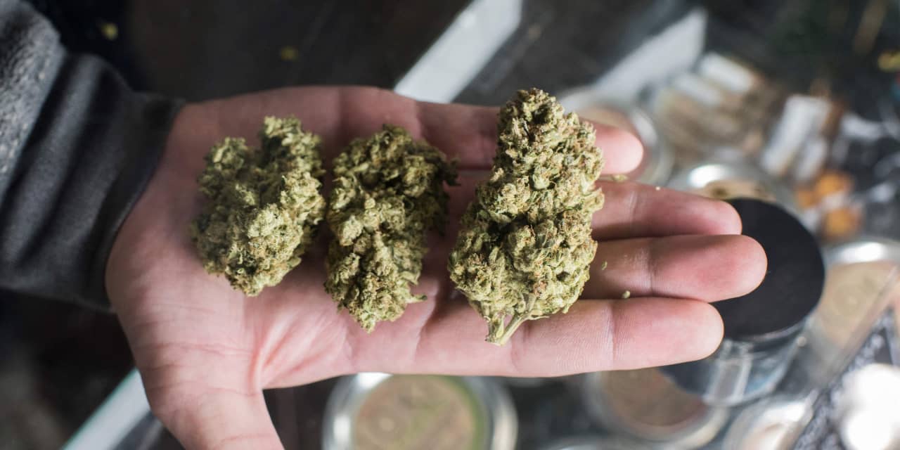 #Cannabis Watch: Aurora Cannabis stock dips as earnings show another sales miss, but narrowing losses