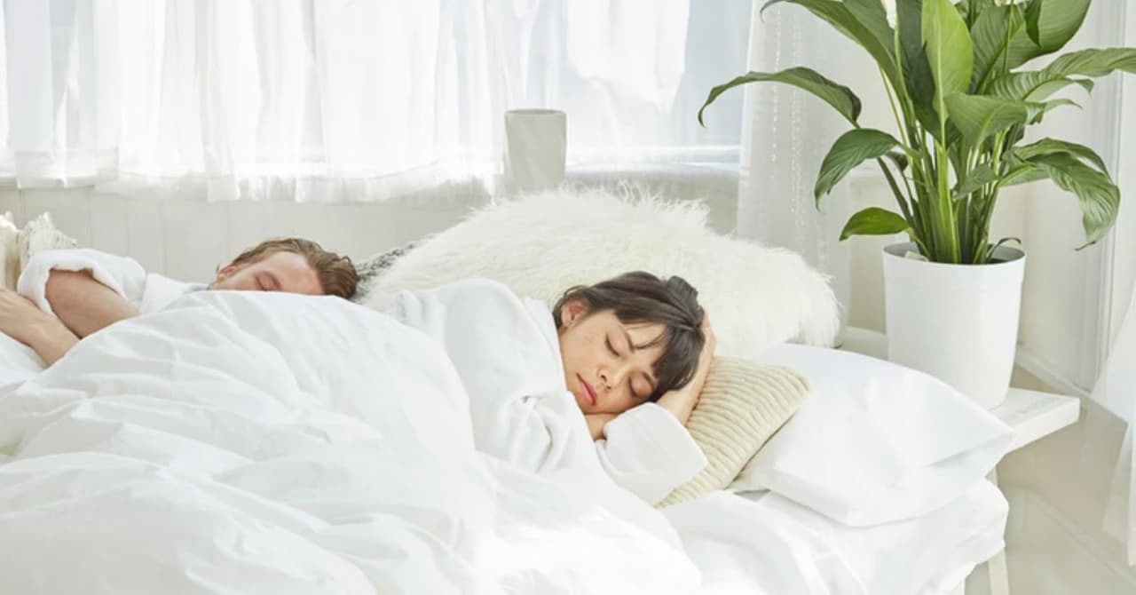 Best Pillow for Side Sleepers (2024) - Sleep Advisor