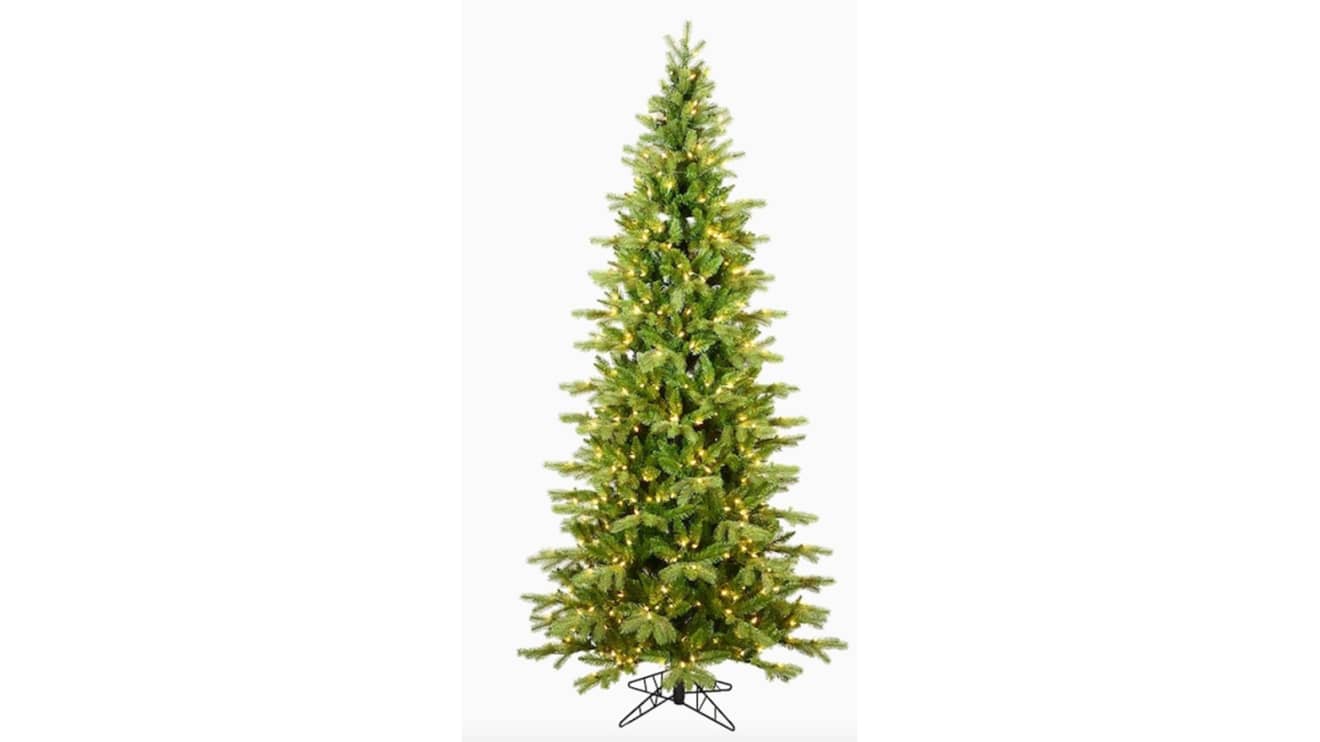 Real Christmas trees: Which one is right for you? - Christmas Trees