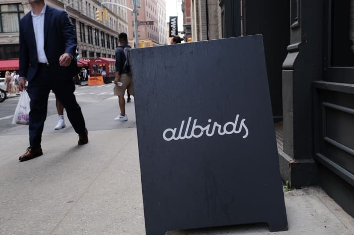 Allbirds on sale public company