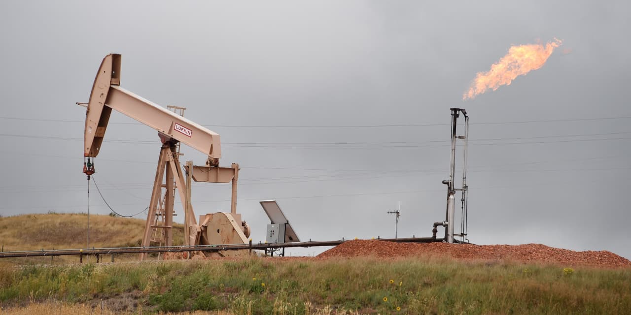 Opinion: Strong El Nino, shaky OPEC are among 5 big hurdles for the energy sector in 2024 - Vimarsana News