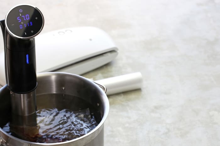 4 best sous vide machines for cooking restaurant-quality food, according to professional chefs