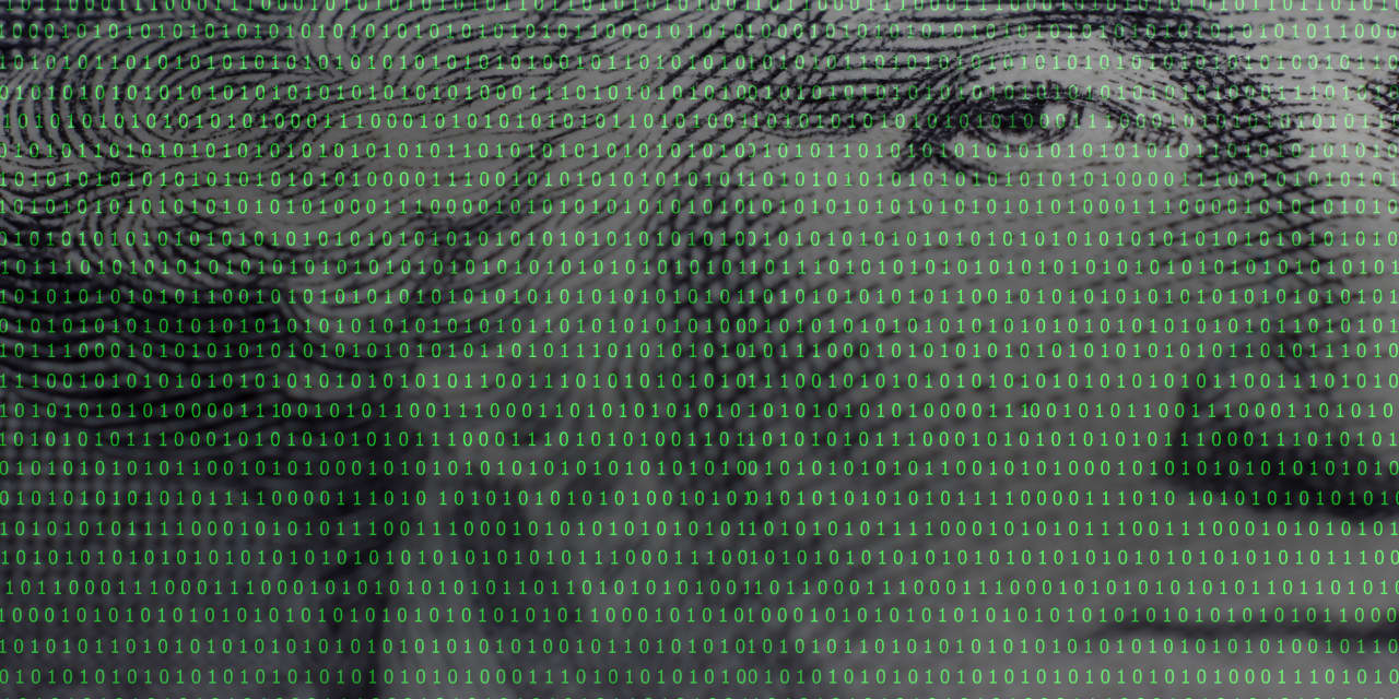 #Peter Morici: Digital dollars are coming, but is the Fed ready?