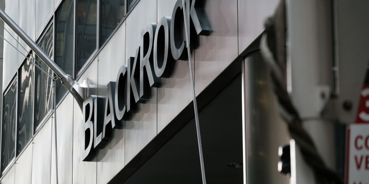 #Lawrence A. Cunningham's Quality Investing: BlackRock, Vanguard and other index-fund giants are playing politics with proxy votes. They should focus on profits.