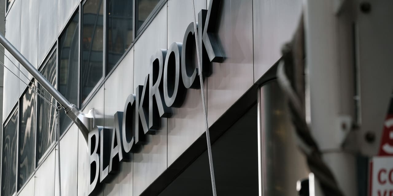 #Lawrence A. Cunningham's Quality Investing: BlackRock, Vanguard and other index-fund giants are playing politics with proxy votes. They should focus on profits.