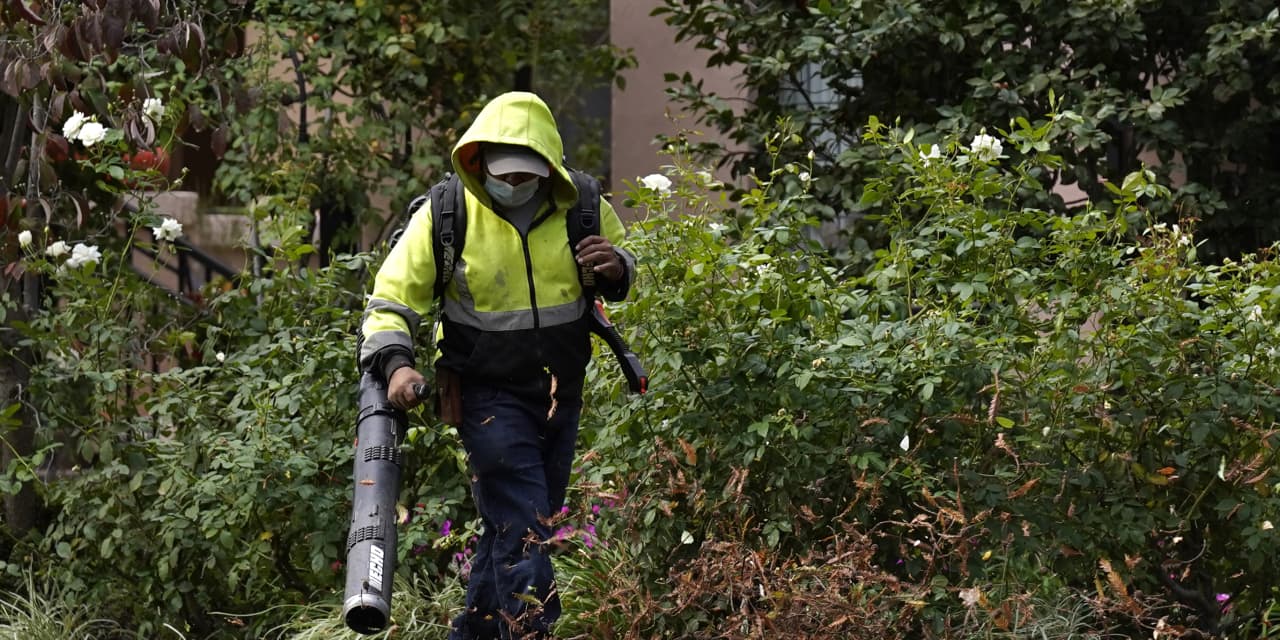 California to ban gas-powered leaf blowers and mowers, adopts tougher ...