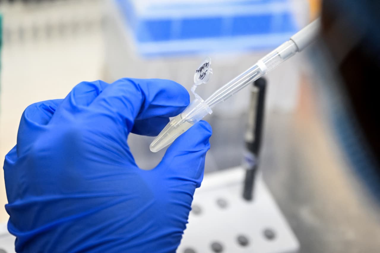 Pfizer and French partner to seek approval for Lyme disease vaccine after late-stage trial