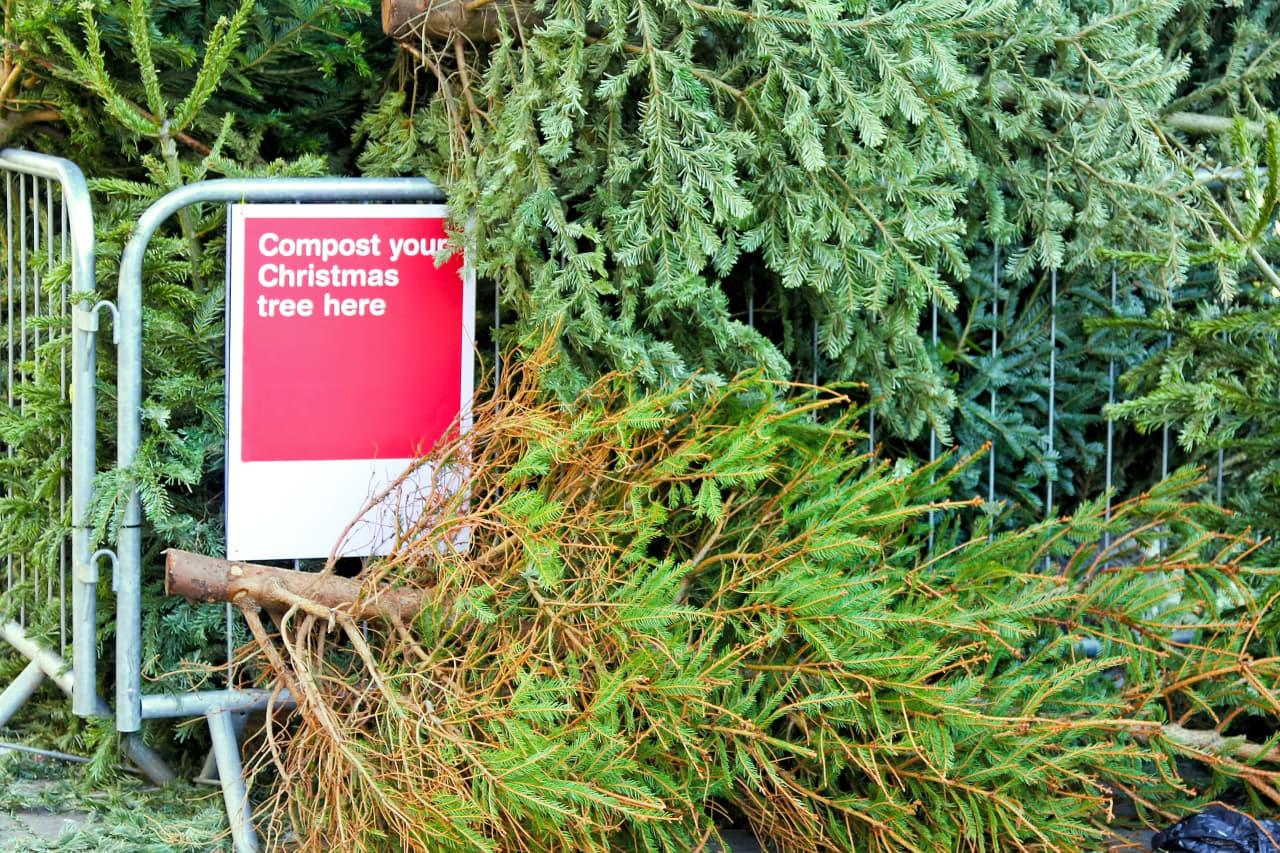 Chicago Christmas Tree Disposal 2022 Here's How And Where To Recycle Your Christmas Tree - Marketwatch