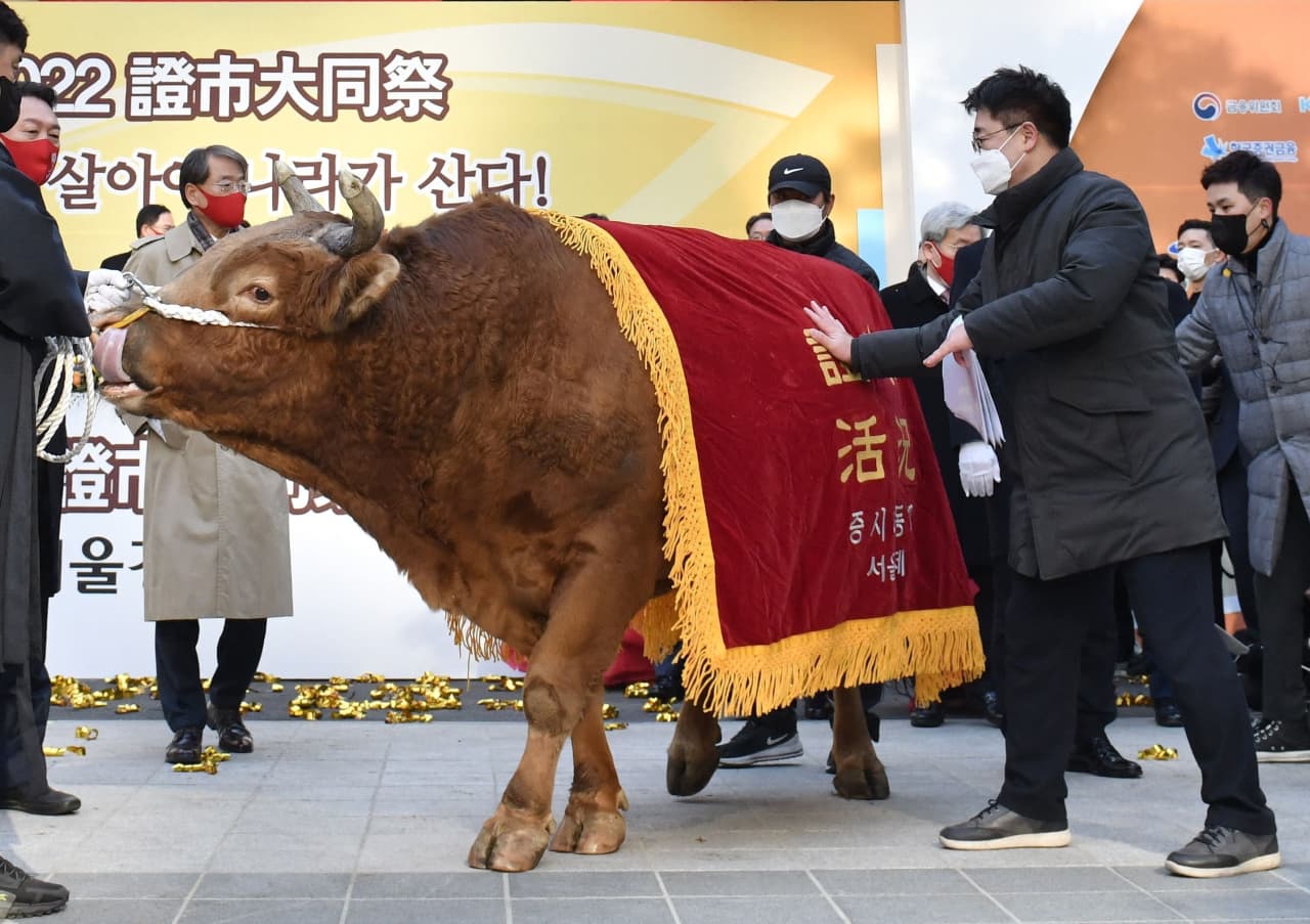 Stock picking in 2022? Goldman Sachs says these are the companies that  should be on your radar. - MarketWatch