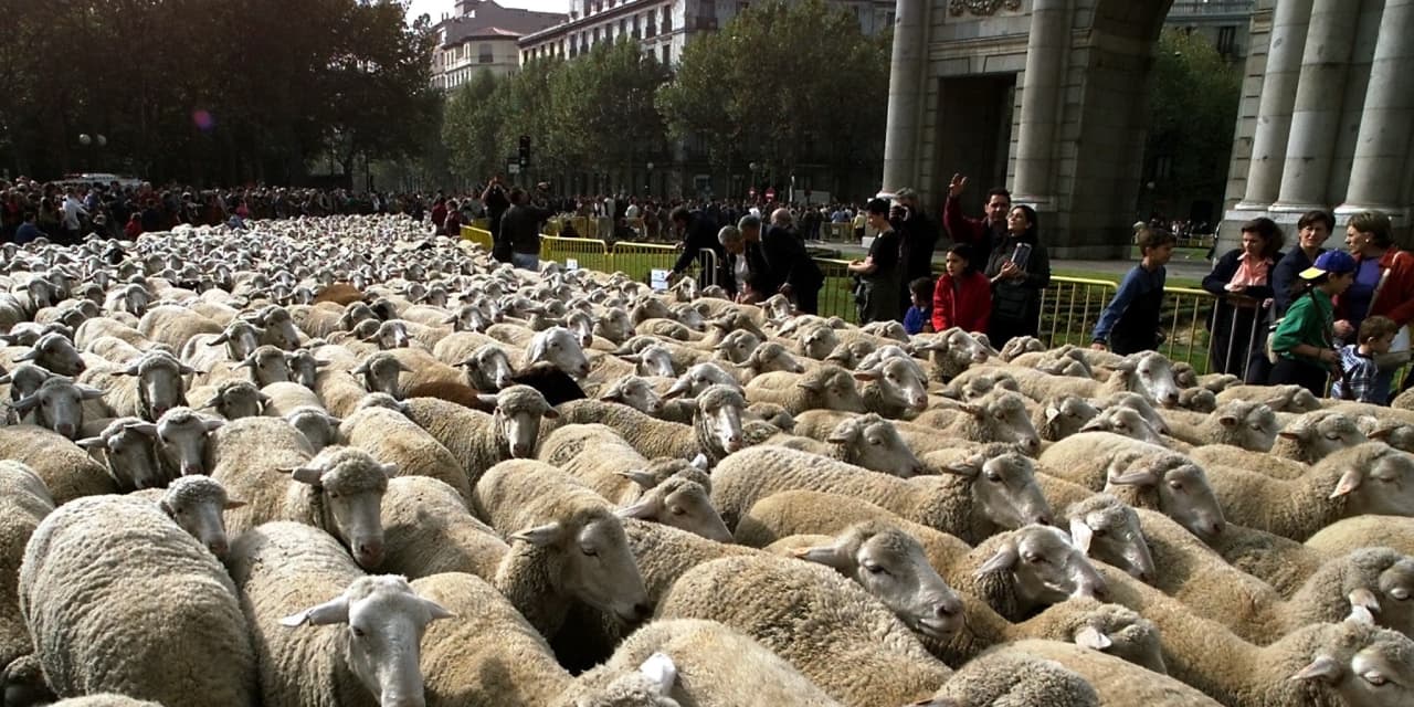#Need to Know: Follow the flows, this Citi strategist says, and get out of this crowded trade