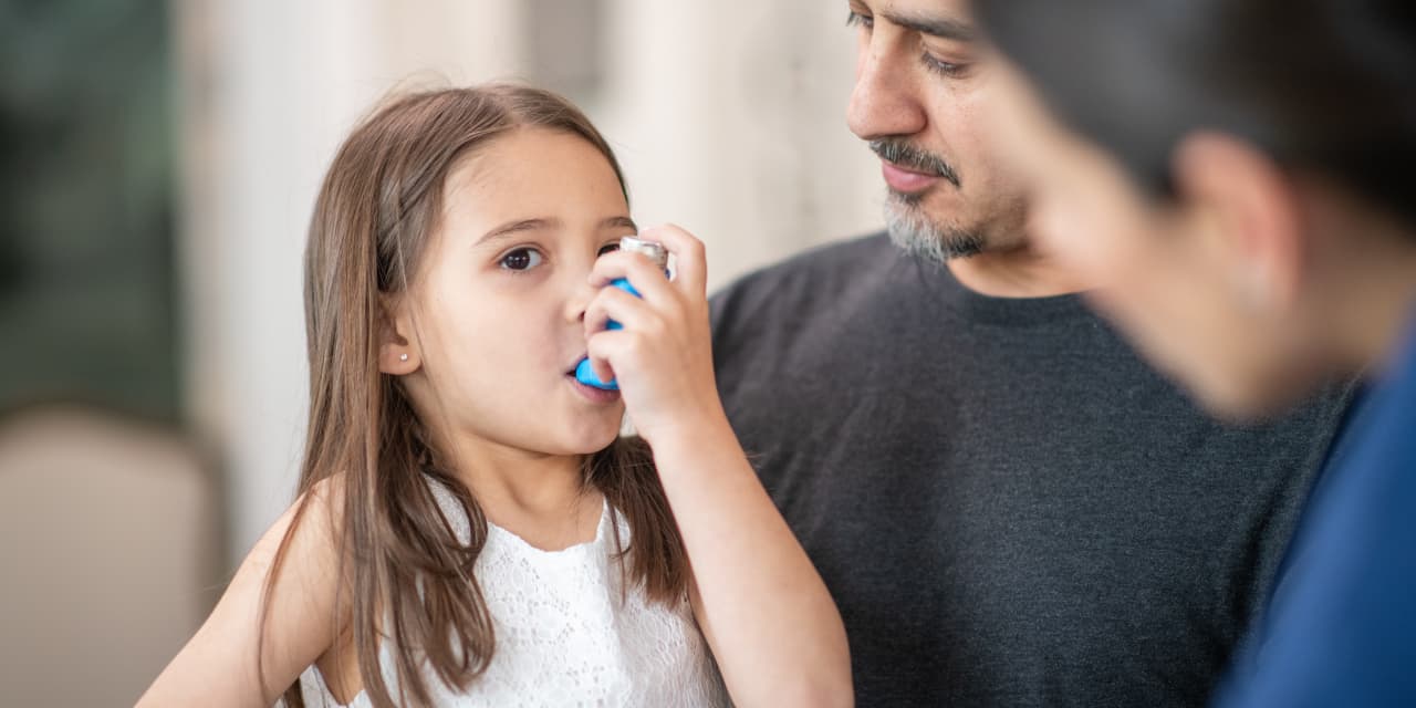 The smallest pollutants carry a great risk: childhood asthma, death from air shortages has been ignored for too long, the study says.