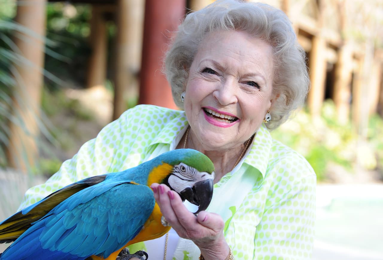 Mini-Betty White,' 12, raises funds for Kent Animal Shelter