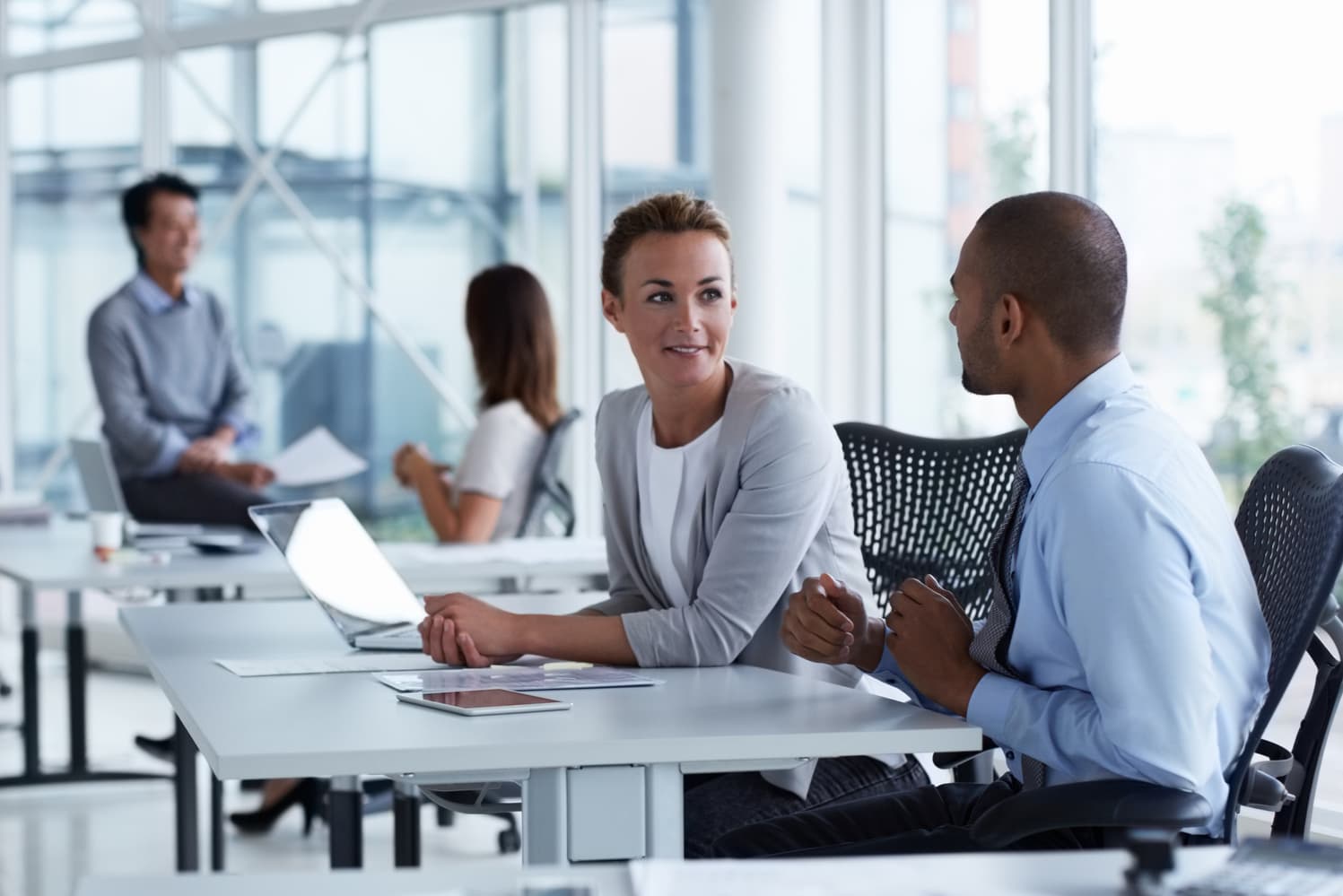 Company's employees. Фон офис с людьми. Секретарь администратор. Французский сотрудник офиса. Офисные сотрудники баннер.