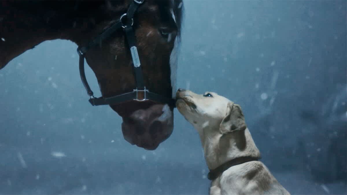 Budweiser’s ‘old-school’ Super Bowl ad features Clydesdale horses in attempt to buck last year’s controversy