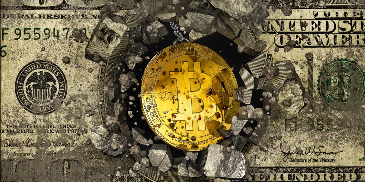 Livin La Vida Crypto Blockchain - cover