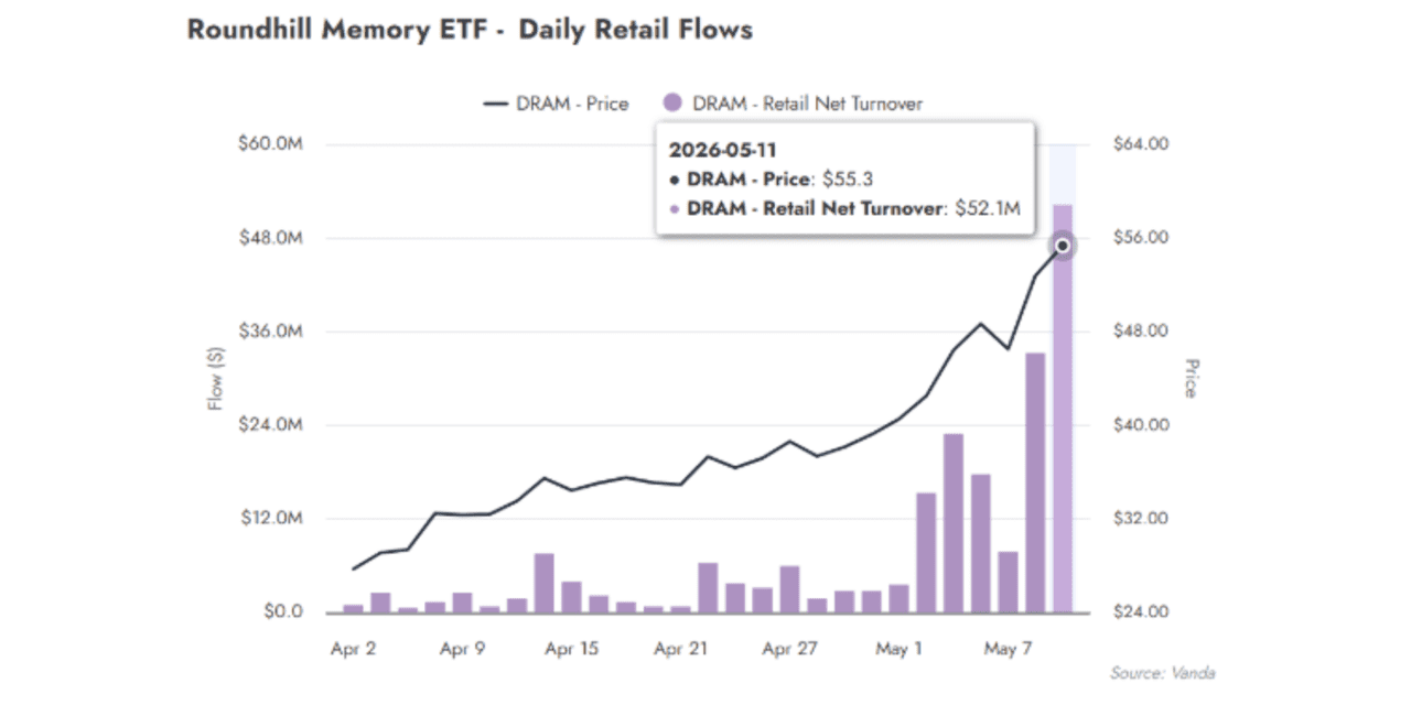 DRAM fund is 'poster child for semiconductor frenzy' says Vanda ...