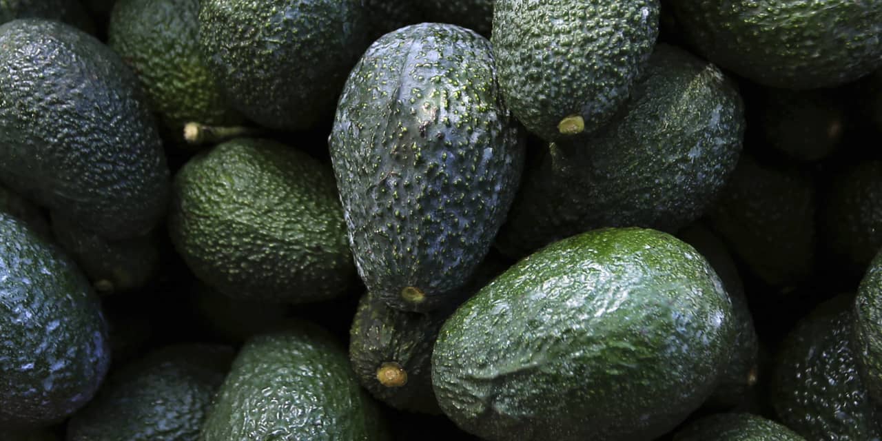 #Earnings Results: Avocado prices jumped 50% in the past year, but Mission Produce stock is still plummeting toward its lowest prices since IPO