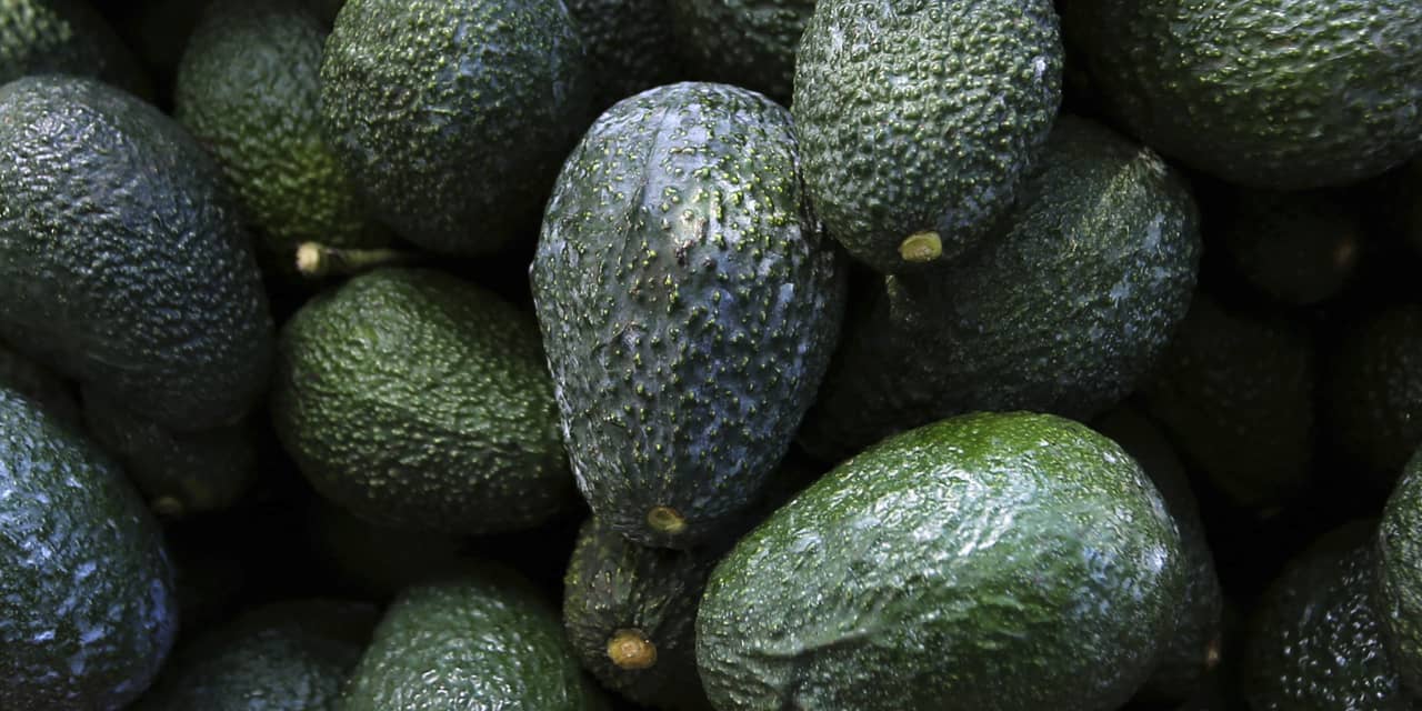 #Earnings Results: Avocado prices jumped 50% in the past year, but Mission Produce stock is still plummeting toward its lowest prices since IPO