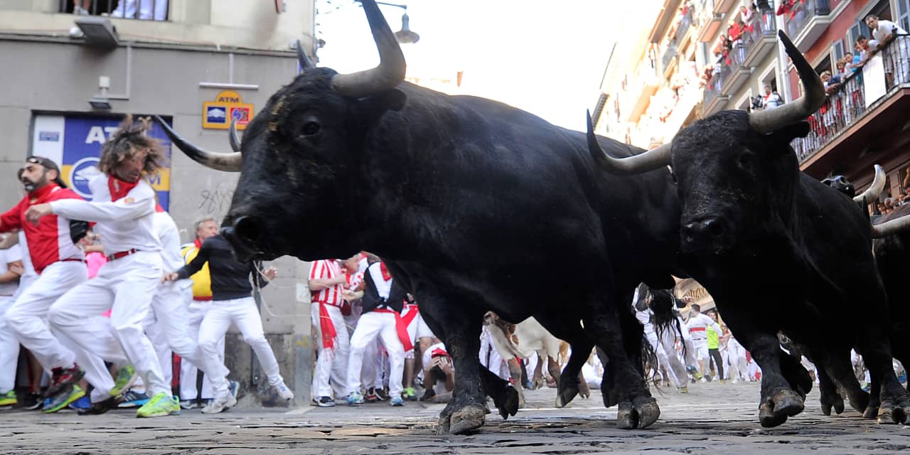 Bullish bets on topperforming stocks like Nvidia hit a record high this week  MarketWatch