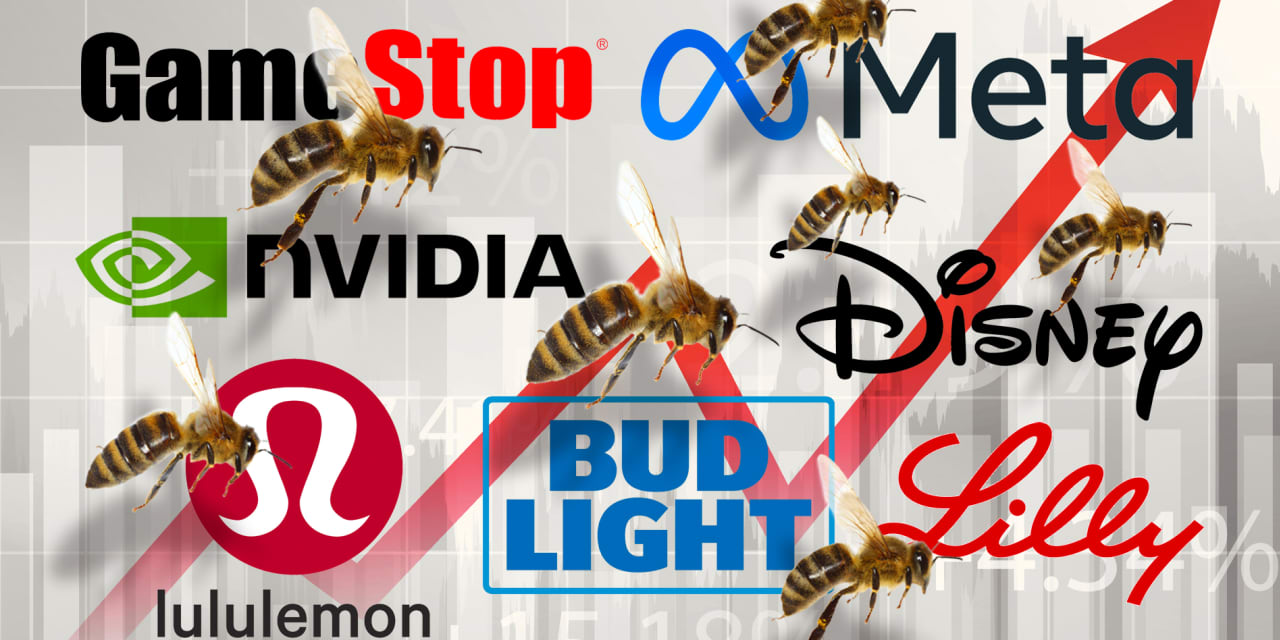 Nvidia, Disney and Tesla are among 2023’s buzziest stocks. Can they continue to sizzle in 2024?
