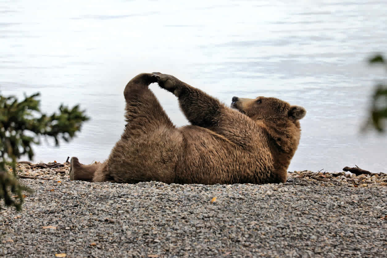 What could spark the next stock-market selloff? Here’s what history tells us.