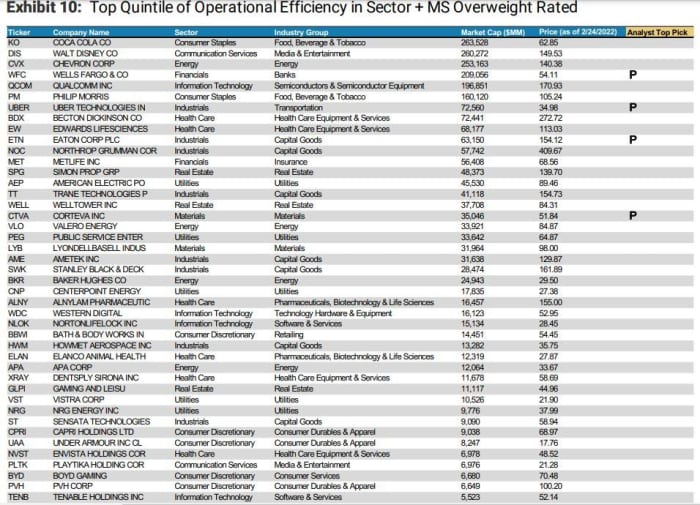 In a challenging environment, these stocks are delivering what the market wants to see, says Morgan Stanley